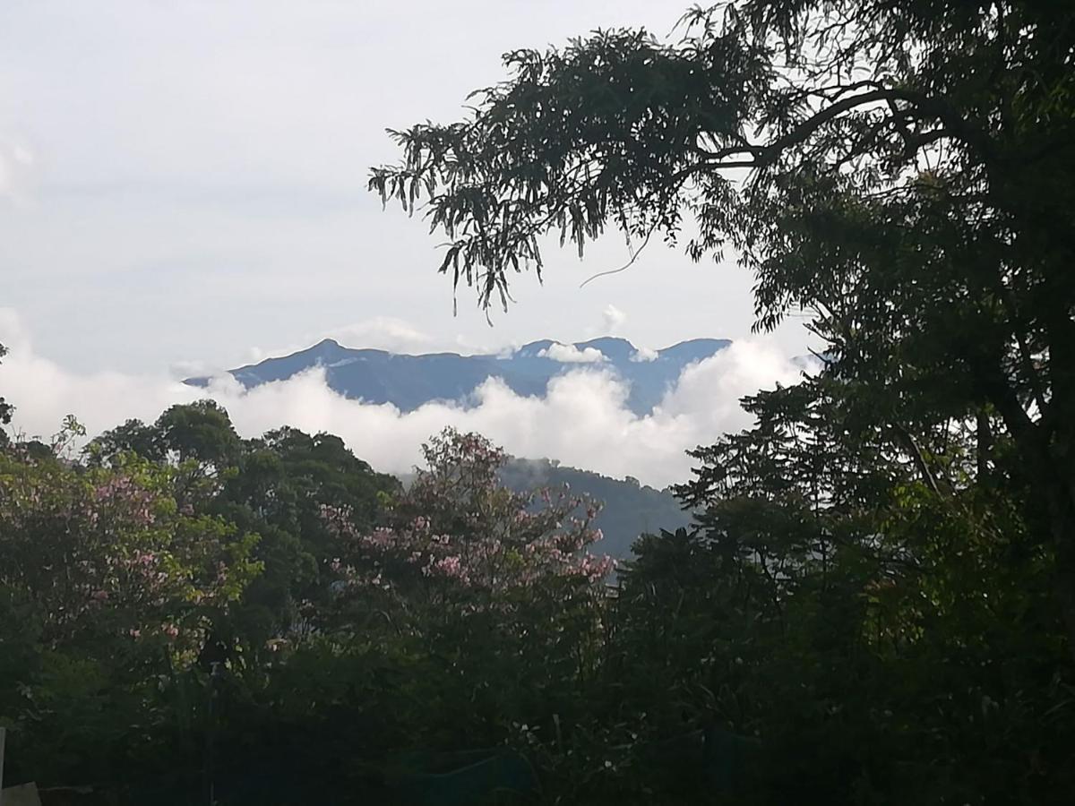 Jungle Tide Bed & Breakfast Kandy Luaran gambar