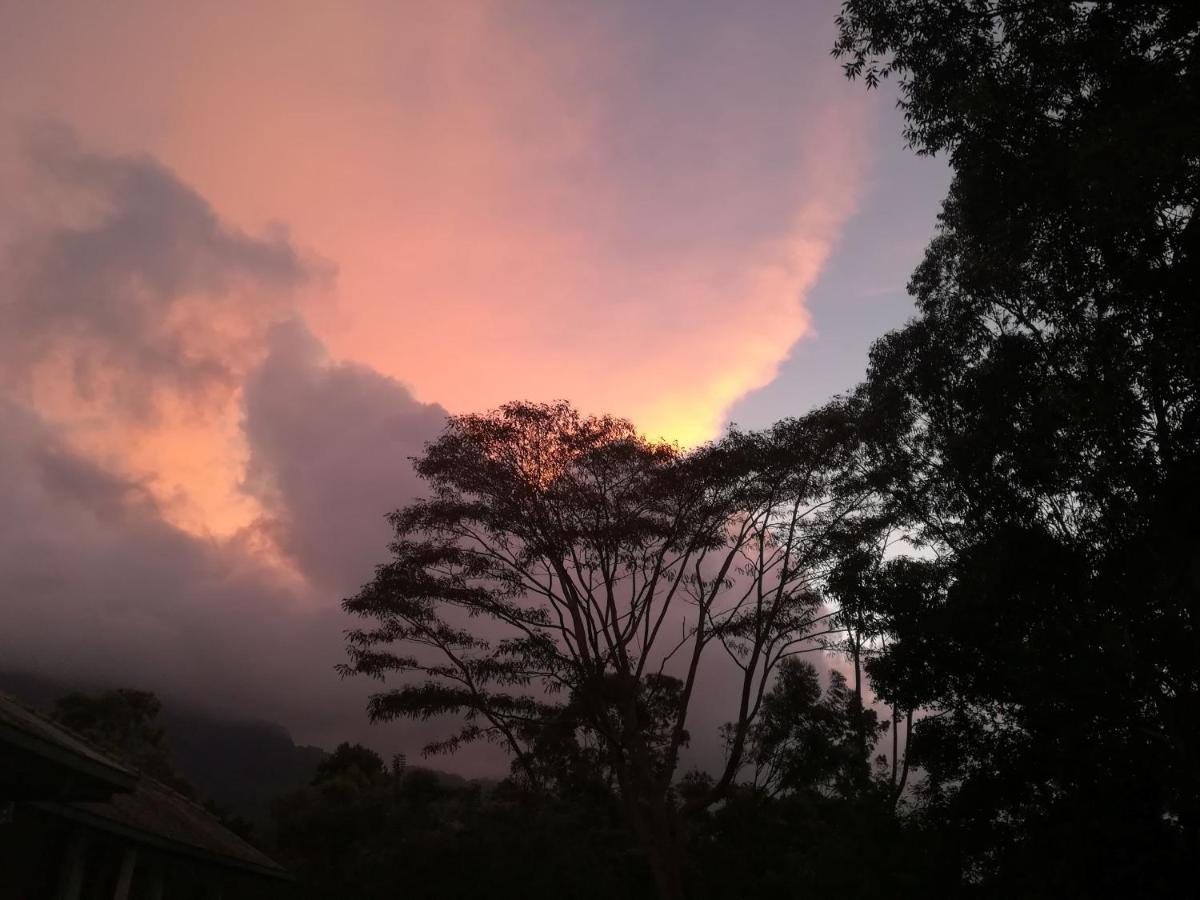 Jungle Tide Bed & Breakfast Kandy Luaran gambar