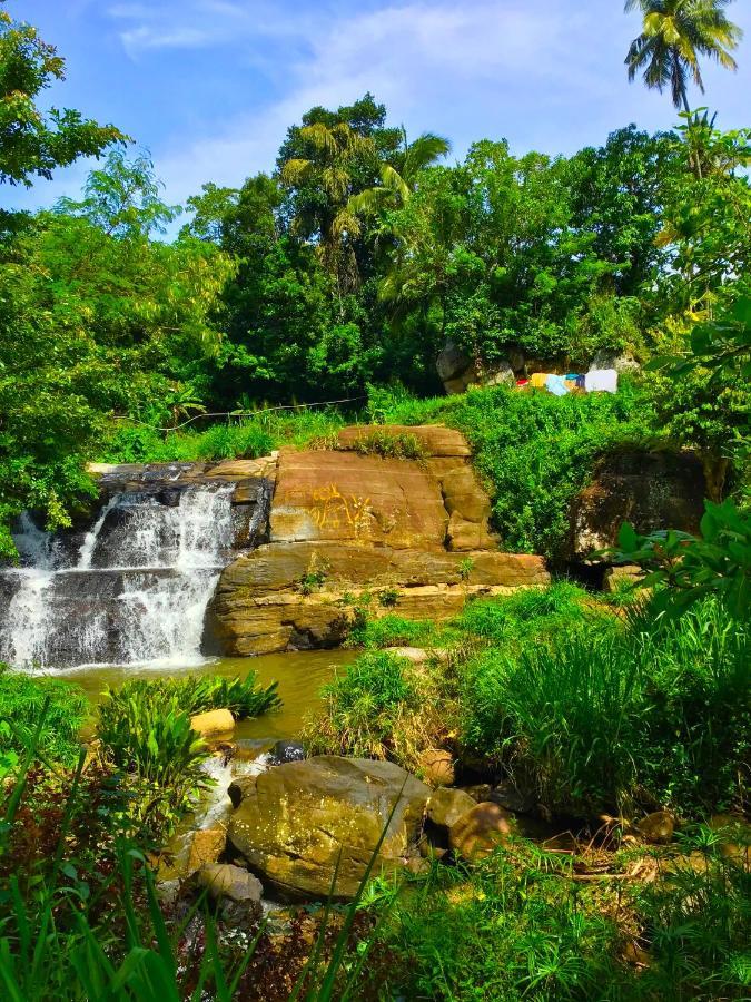 Jungle Tide Bed & Breakfast Kandy Luaran gambar