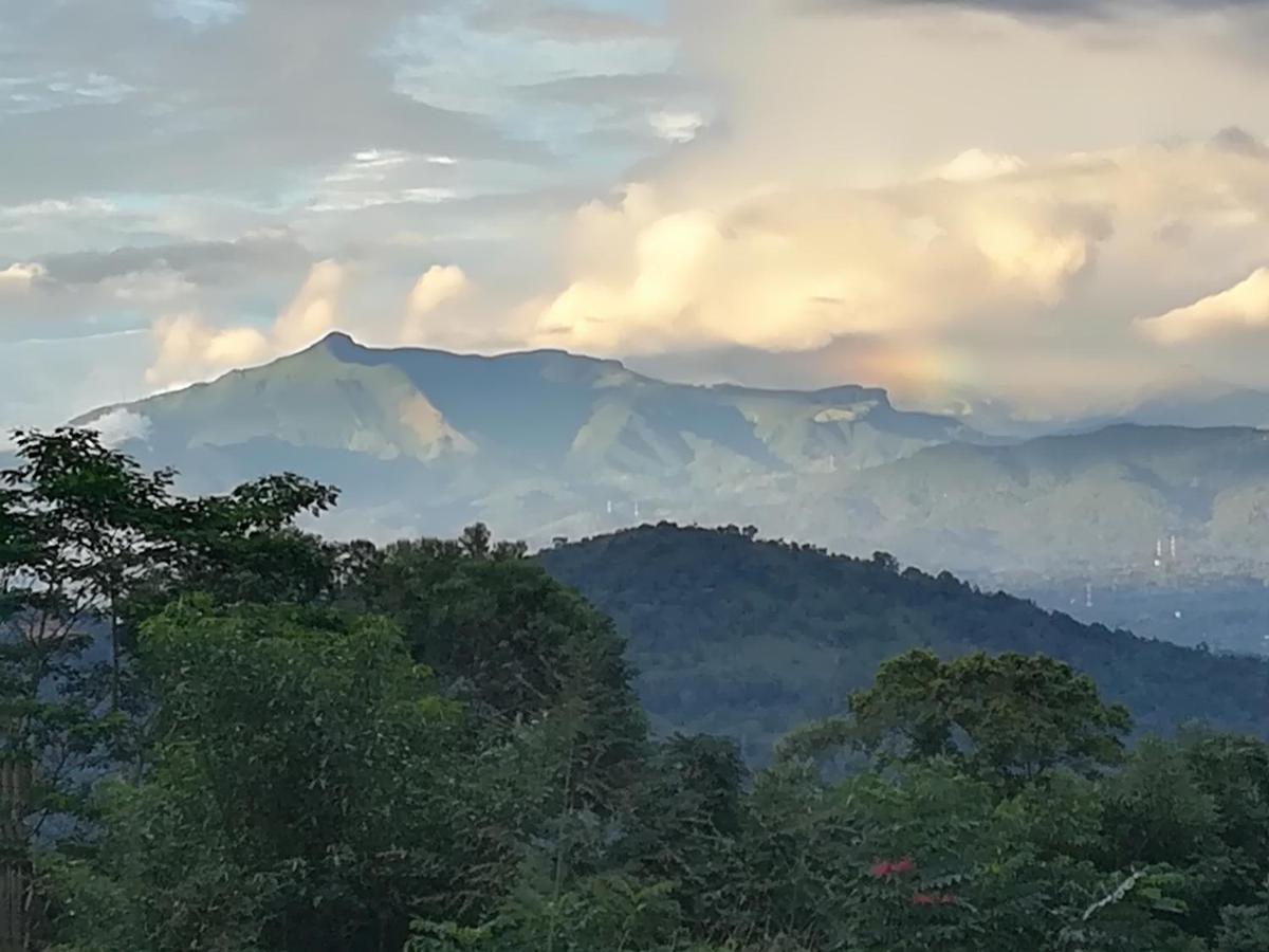 Jungle Tide Bed & Breakfast Kandy Luaran gambar