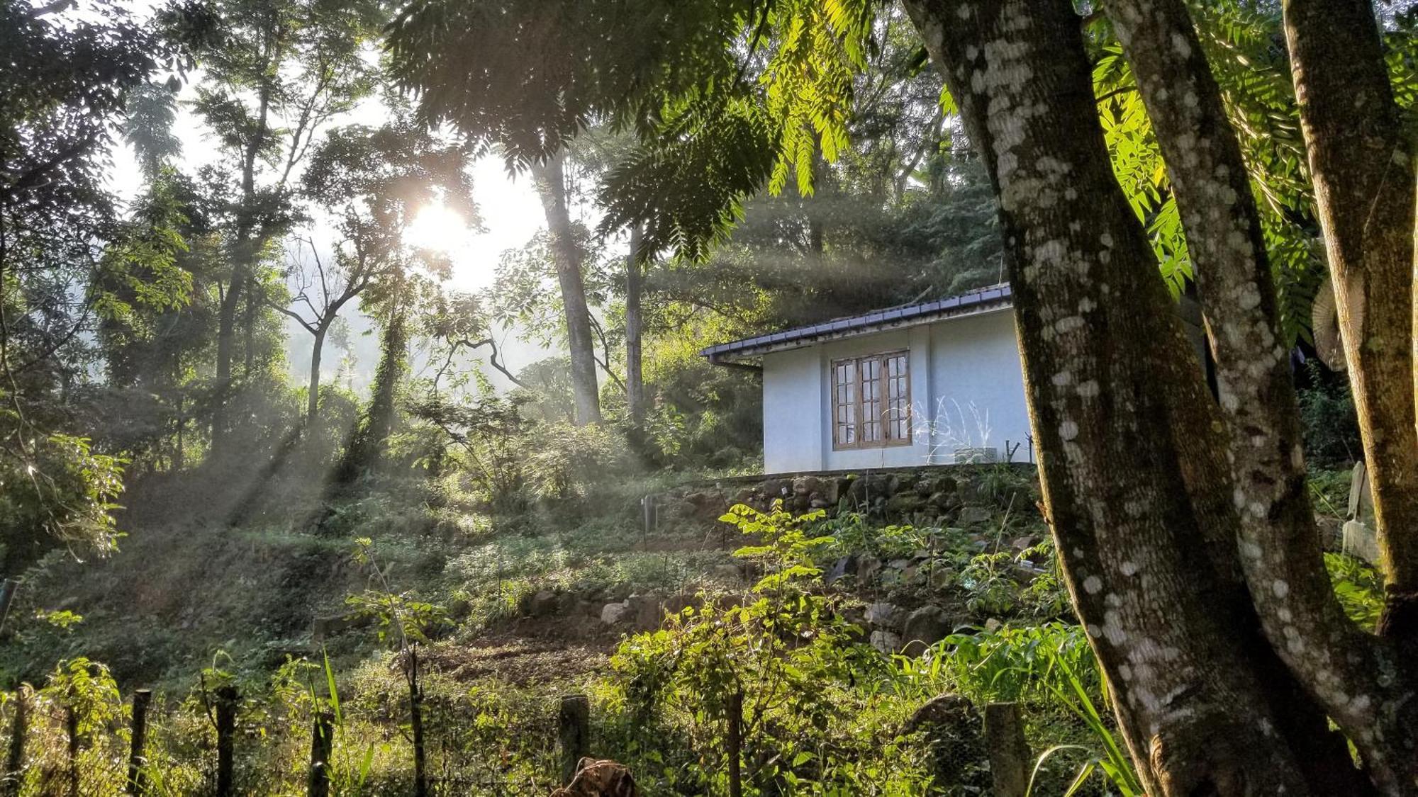 Jungle Tide Bed & Breakfast Kandy Luaran gambar