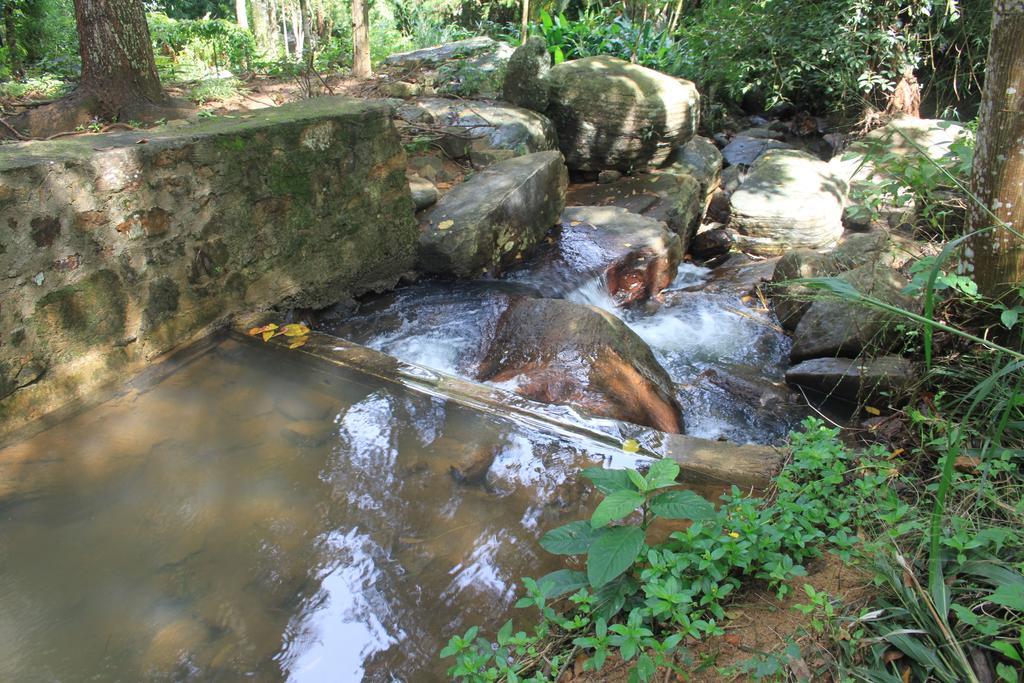 Jungle Tide Bed & Breakfast Kandy Luaran gambar