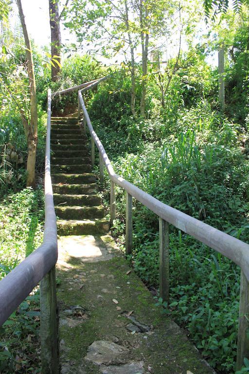 Jungle Tide Bed & Breakfast Kandy Luaran gambar