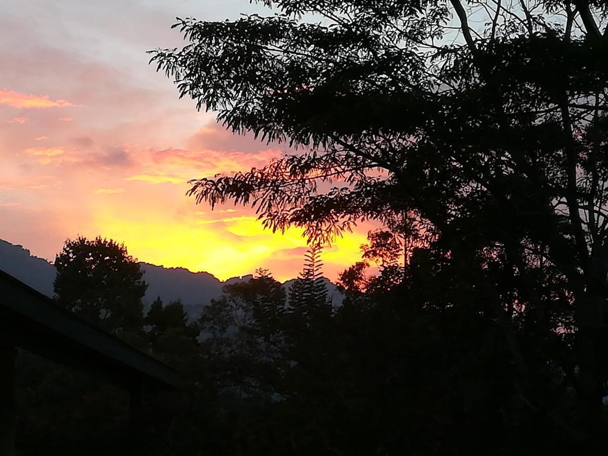 Jungle Tide Bed & Breakfast Kandy Luaran gambar